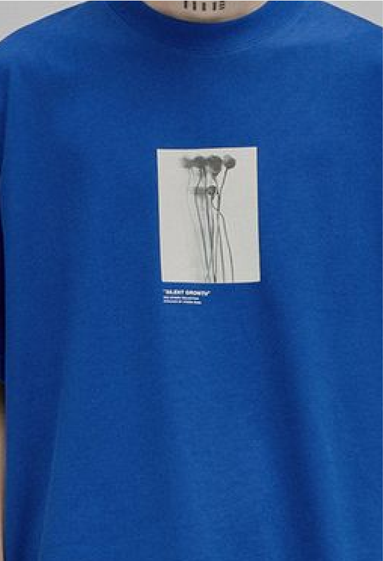 5-Sleeves Printed T-Shirt  Hover Image